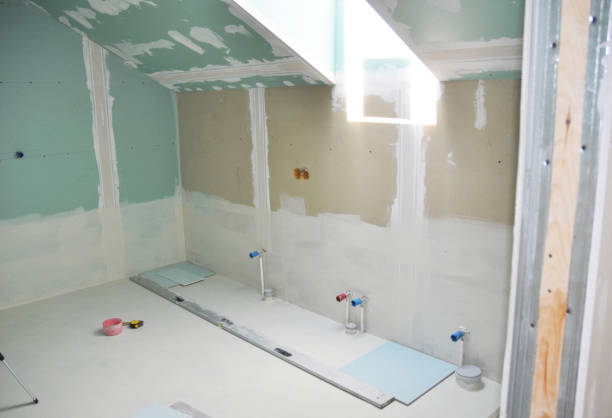 Best Basement Mold Removal  in El Jebel, CO