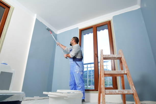Best Indoor Air Quality Assessment  in El Jebel, CO