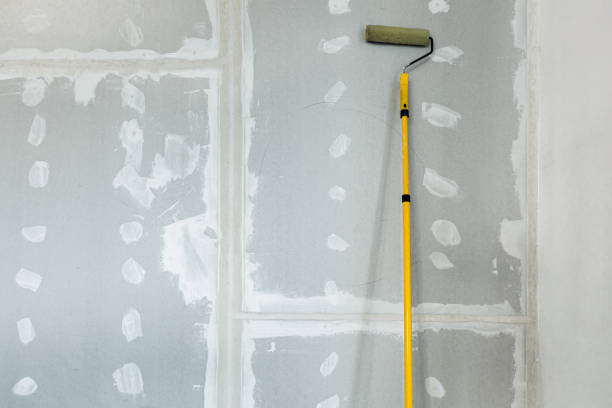 Environmental Consulting for Mold Prevention in El Jebel, CO