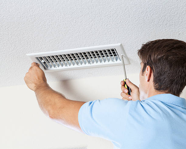 Best Mold Damage Restoration  in El Jebel, CO