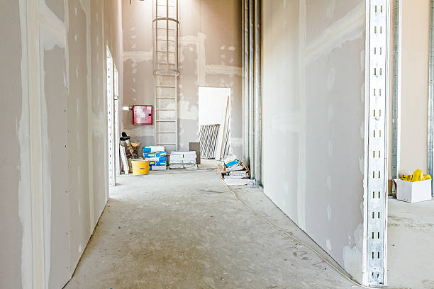 Best Mold Documentation for Insurance Claims  in El Jebel, CO