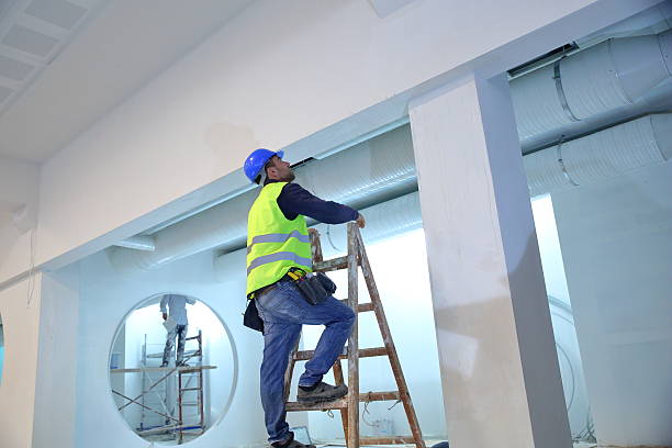 Best Mold Prevention Services  in El Jebel, CO